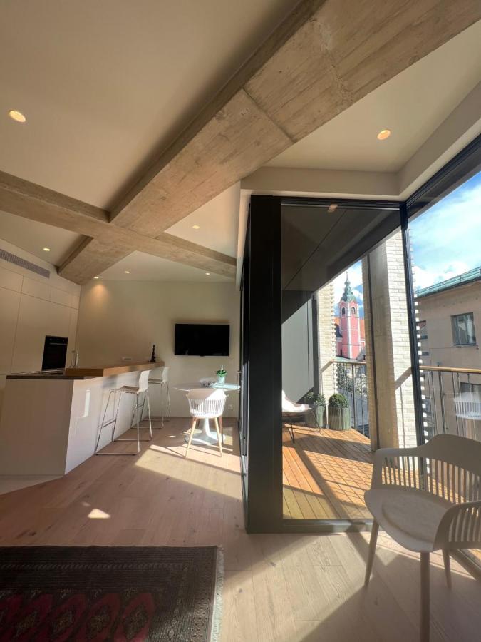 Castle View Luxury Suite リュブリャナ エクステリア 写真